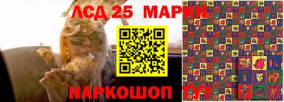 гашик Малоярославец
