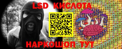 гашик Малоярославец