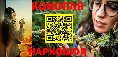 гашик Малоярославец