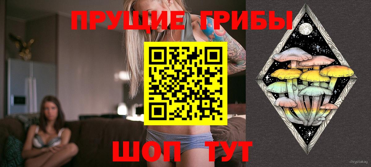 Псилоцибиновые грибы Cubensis  Галлюциногенные грибы GOLDEN TEACHER  продажа наркотиков  Вход с VPN  Кирово-Чепецк 