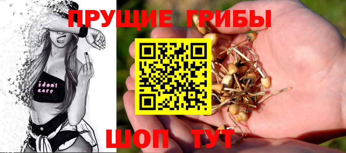 Псилоцибиновые грибы Cubensis Кирово-Чепецк
